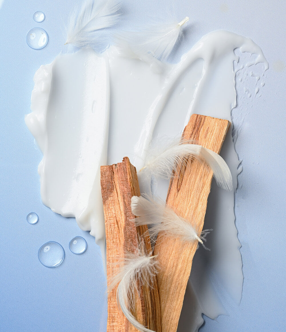 Fresh & Cozy Body Lotion